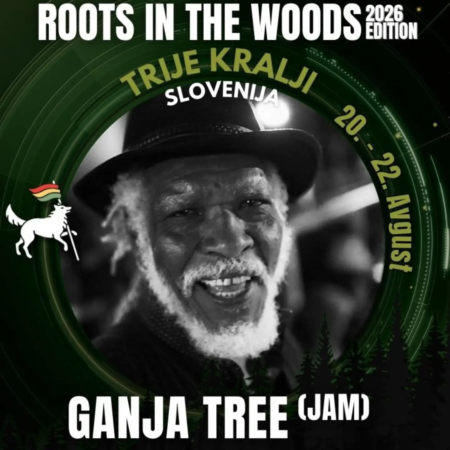 ganja_tree_roots_in_the_woods